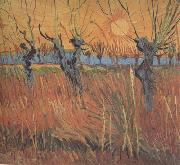 Vincent Van Gogh Willows at Sunset (nn04) oil painting picture wholesale
